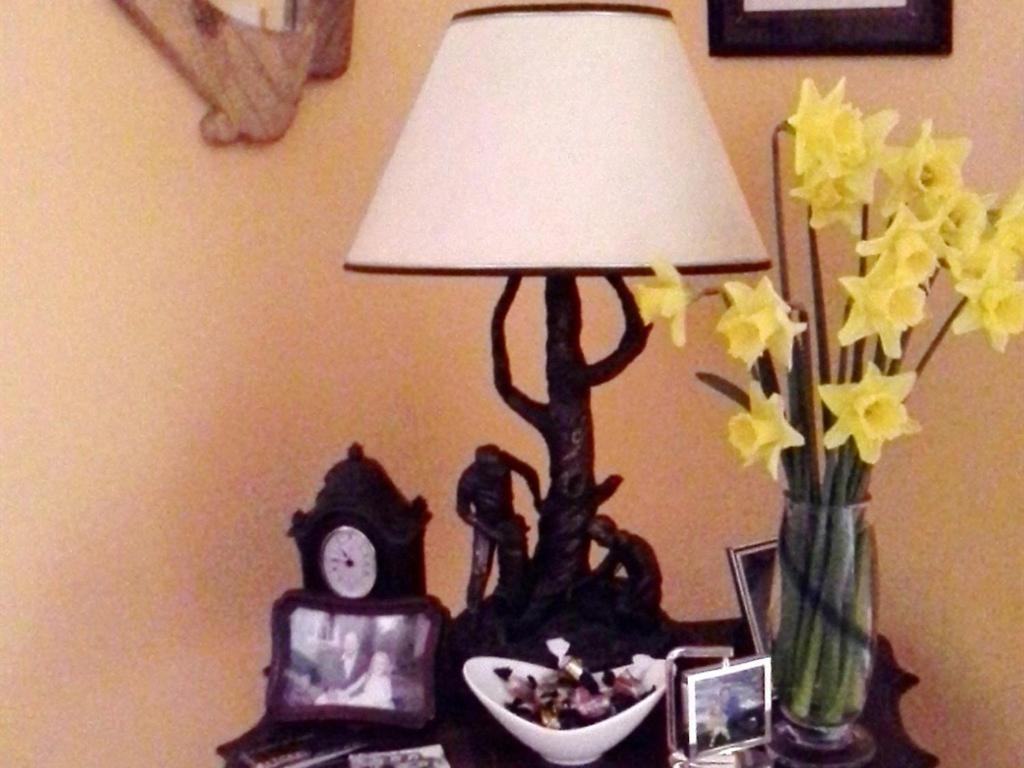 Blossom Hill Bed And Breakfast Killaloe Luaran gambar